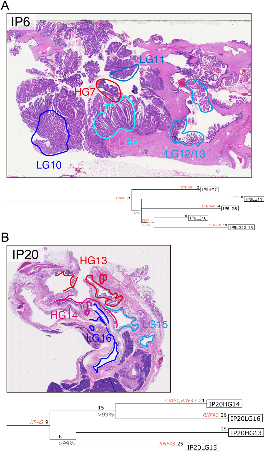 Figure 6: