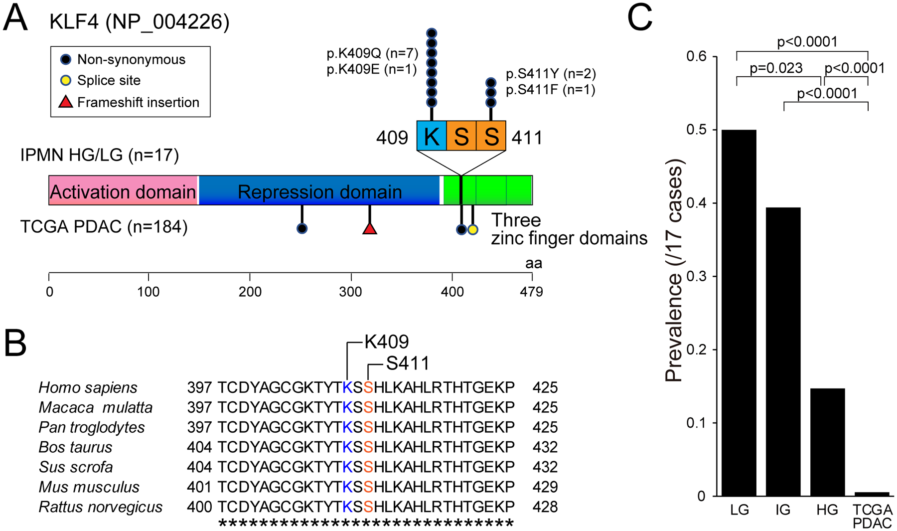 Figure 3: