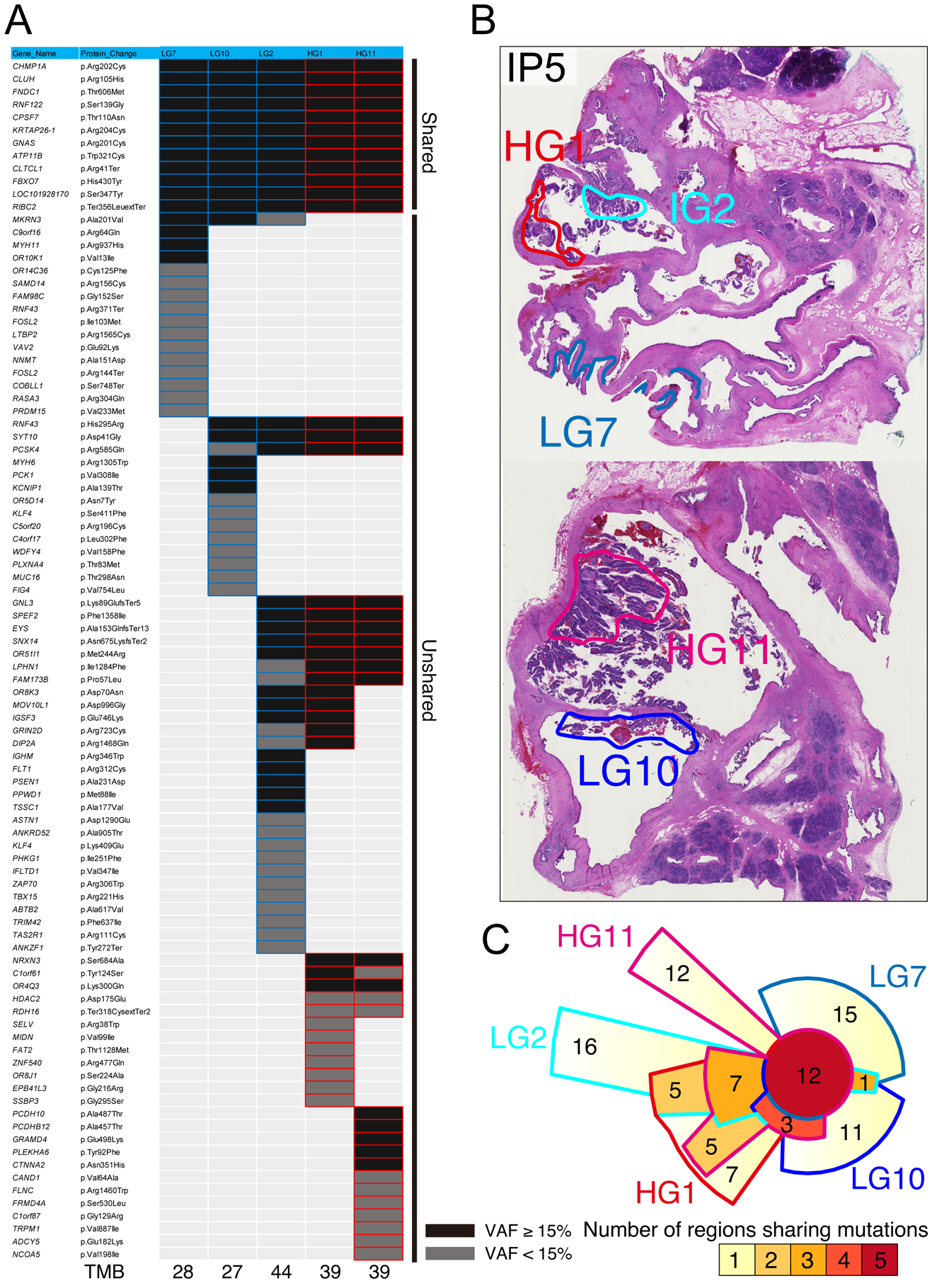 Figure 4: