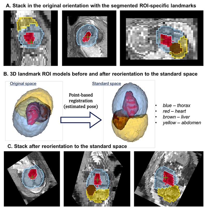 Fig. 8