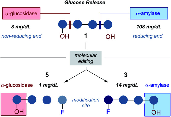 Fig. 10