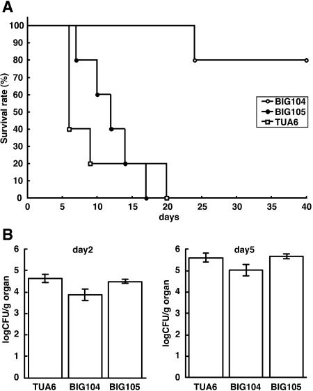 FIG. 7.