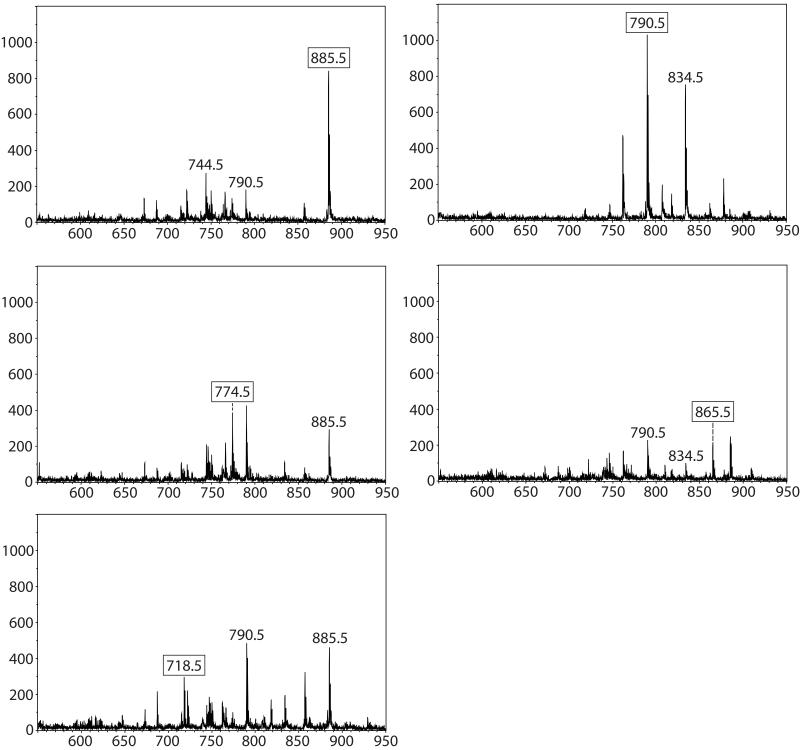 Figure 5