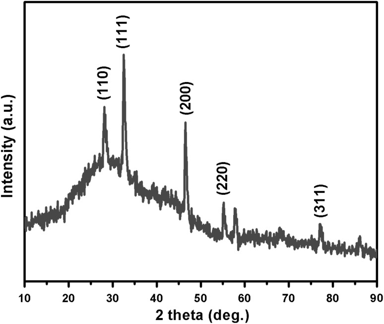 Fig. 3