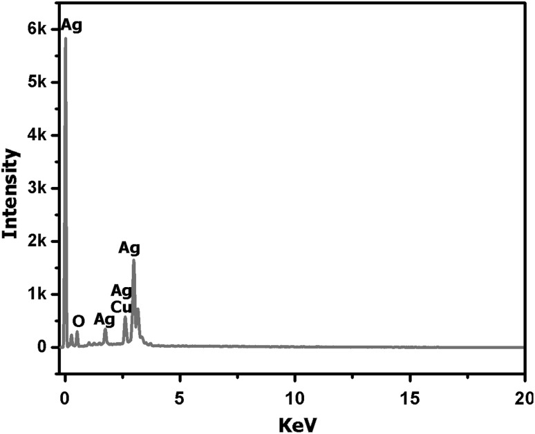 Fig. 4