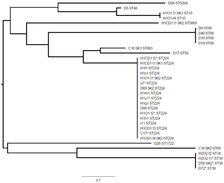 Figure 2