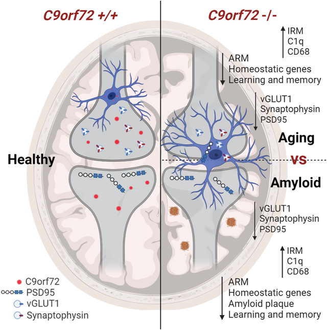 graphic file with name nihms-1708667-f0001.jpg