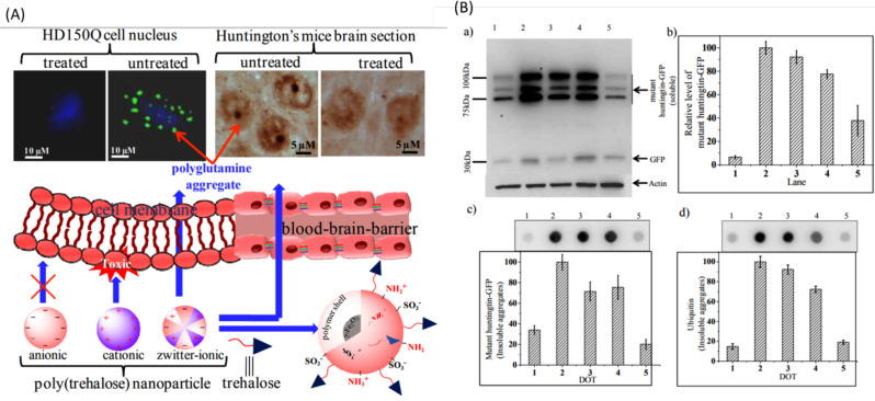 Fig. (8)