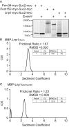 FIGURE 5: