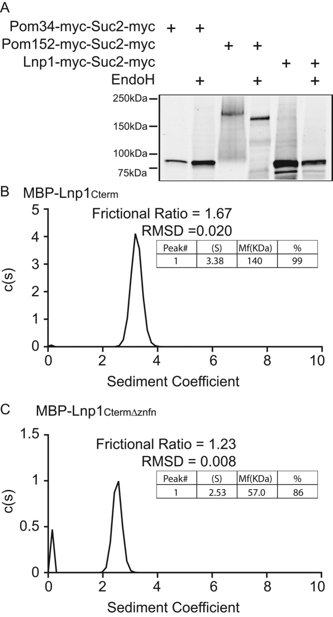 FIGURE 5: