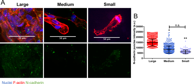 Figure 4: