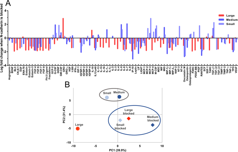 Figure 5: