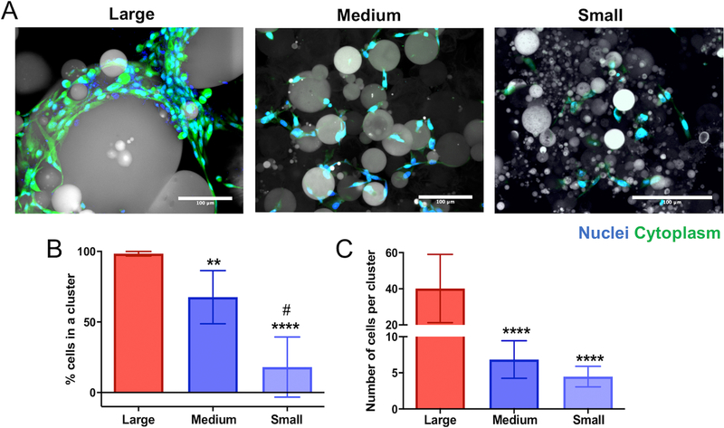 Figure 2: