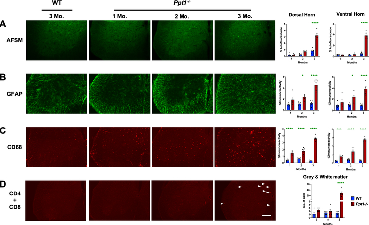 FIGURE 3 –