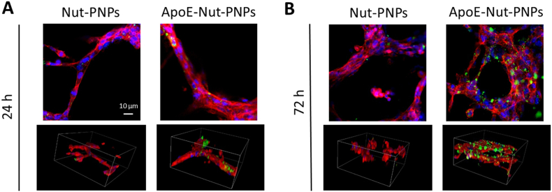 Fig. 3