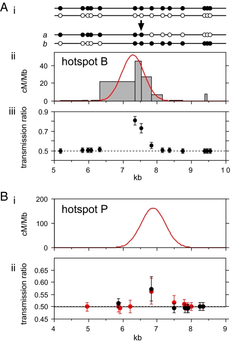 Fig. 5.