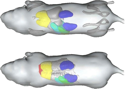 Fig. 8