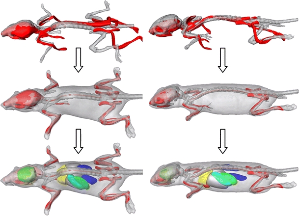 Fig. 3