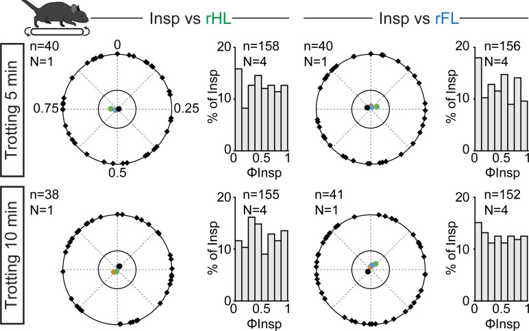 Figure 3—figure supplement 1.