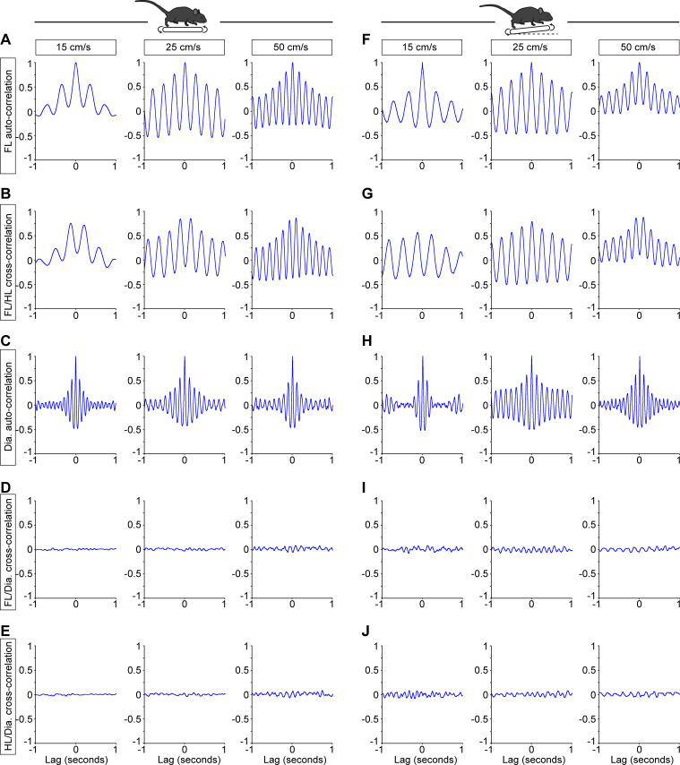 Figure 3—figure supplement 2.