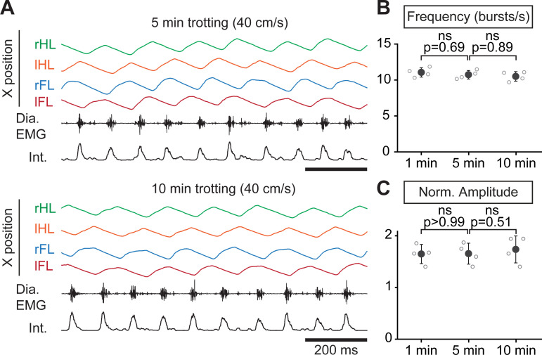 Figure 2—figure supplement 1.