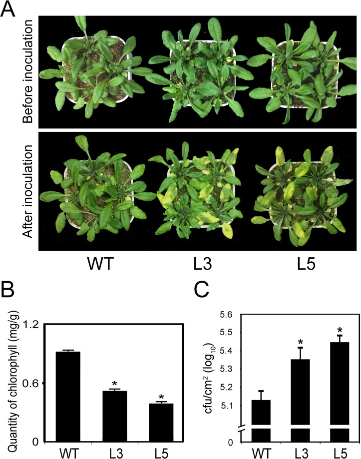 Fig 4