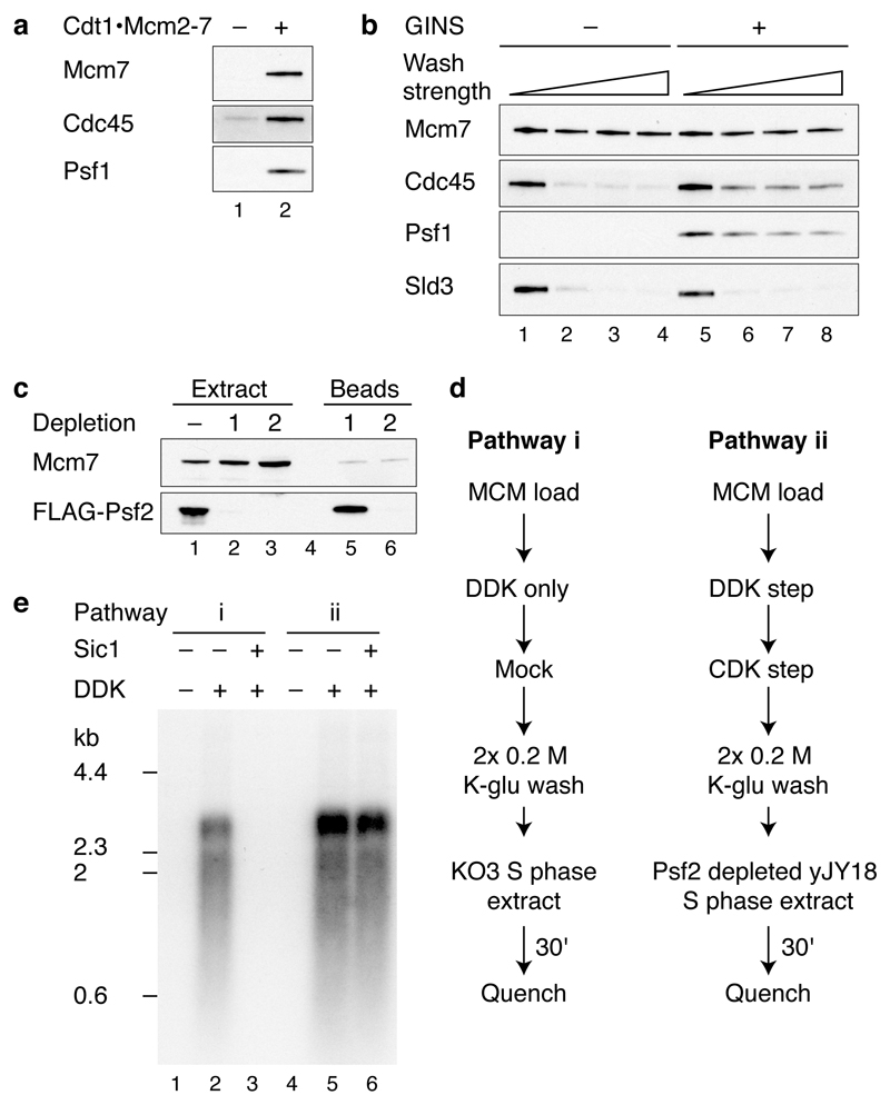 Extended Data Figure 2