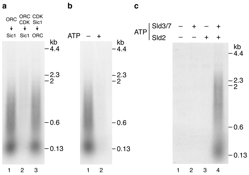 Extended Data Figure 5