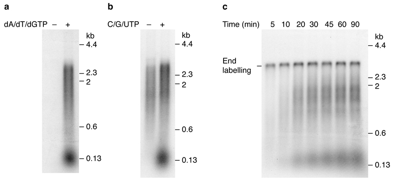 Extended Data Figure 3