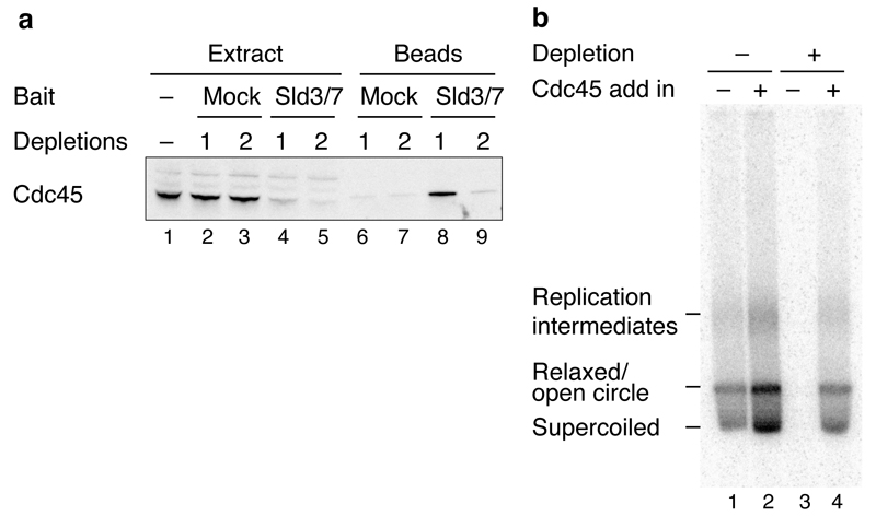 Extended Data Figure 7