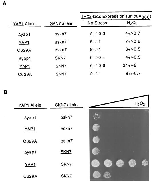 FIG. 11