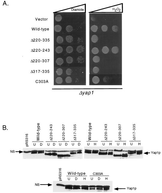 FIG. 6