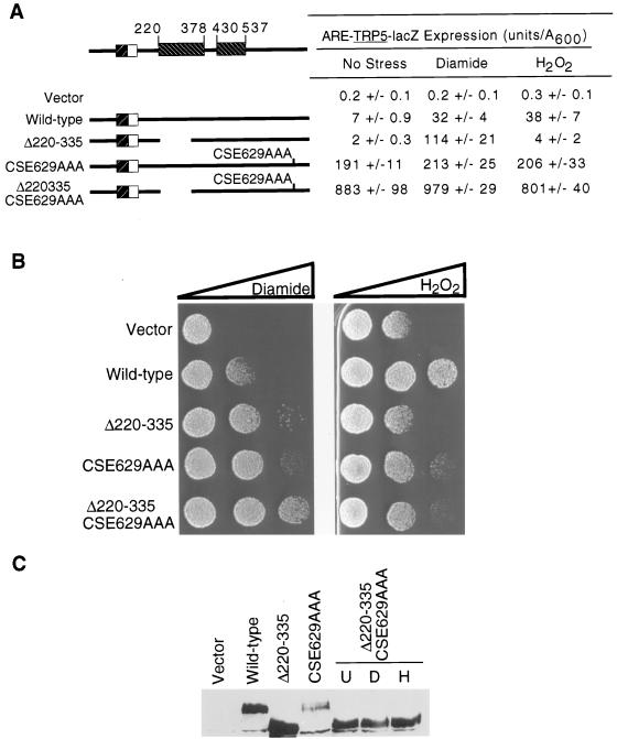 FIG. 7