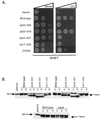 FIG. 6