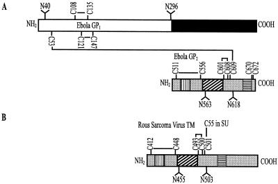 FIG. 9.