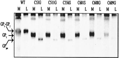 FIG. 3.