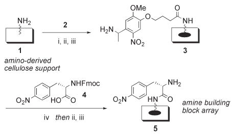 Scheme 2