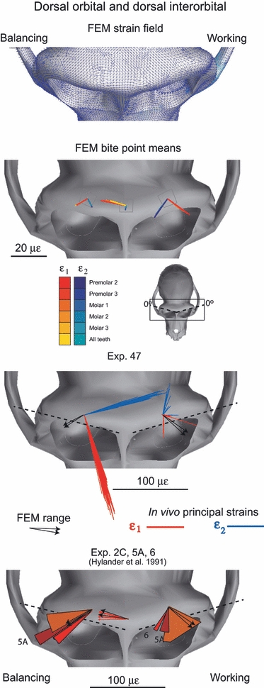 Fig. 10