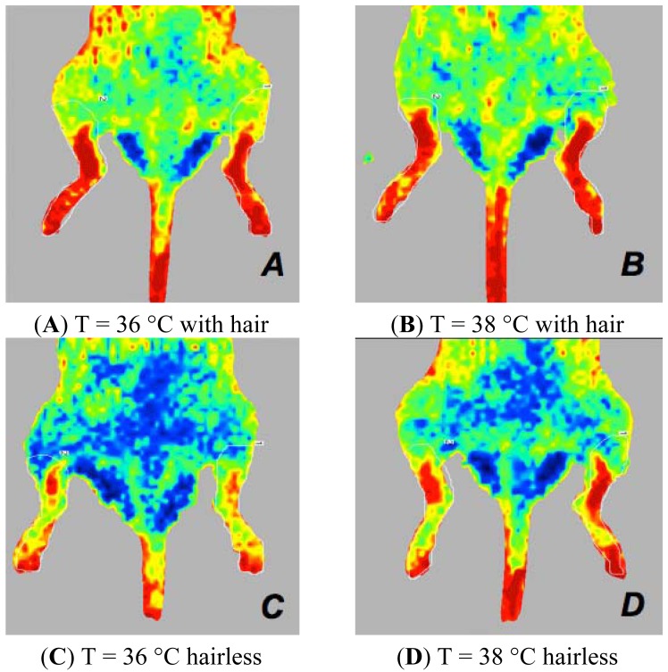 Figure 6.