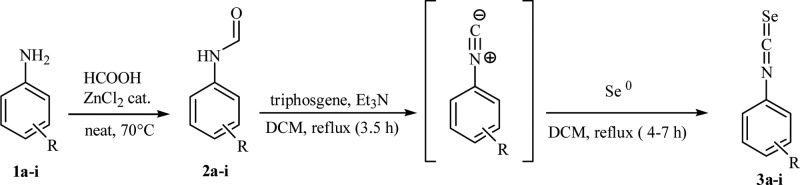 Scheme 2