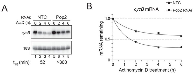 Figure 4: