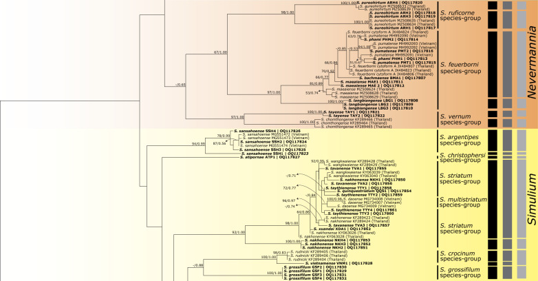 Fig. 3