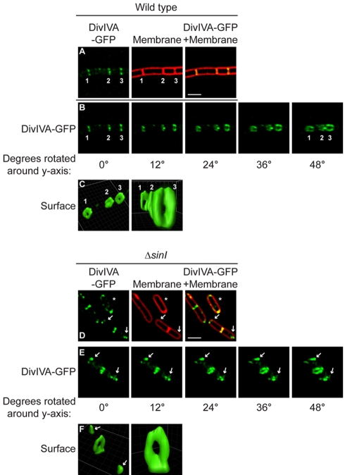 FIG 1 