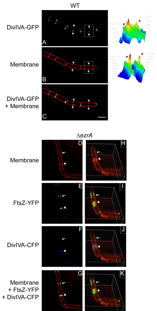 FIG 2 