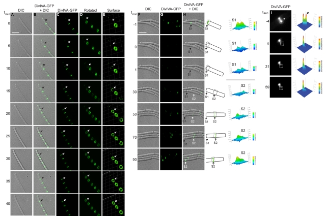 FIG 3 