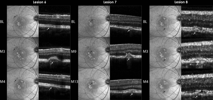 Fig. 3