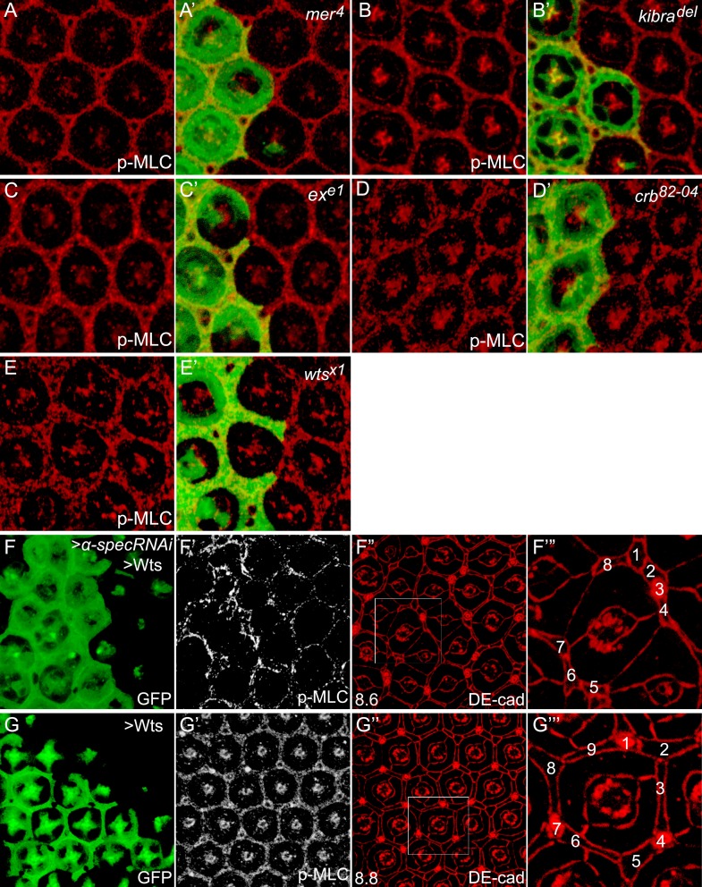 Figure 4.