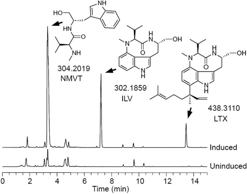 Figure 3