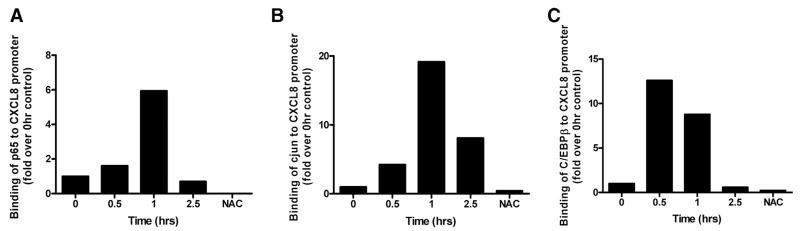 FIGURE 3