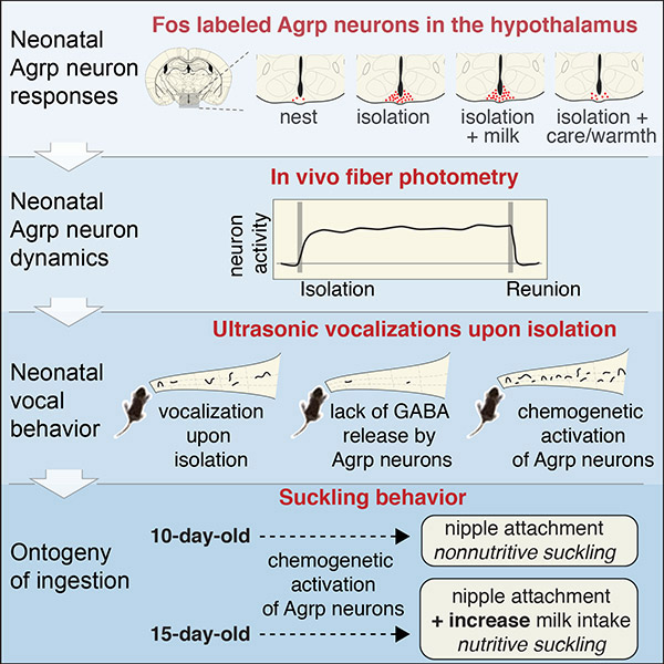 graphic file with name nihms-1529400-f0001.jpg